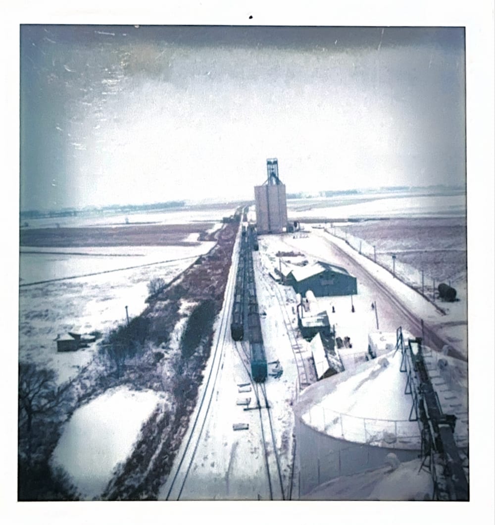 View from a CEA grain bin